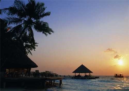 一品麦香秘传手撕面