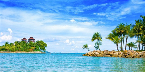 野生桃胶10大品牌