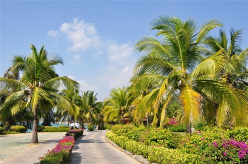 火锅视觉传达设计学什么