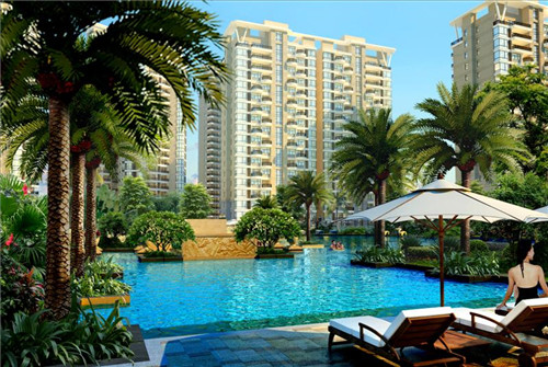 喜欢芒奶茶现在可以加盟吗