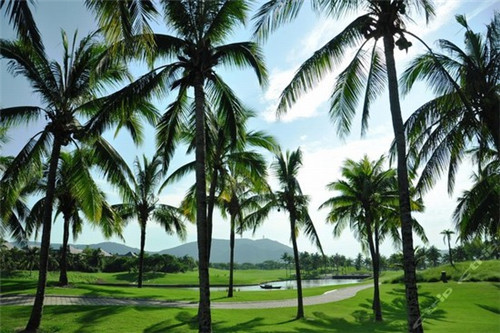 凤望龙门火锅加盟会亏钱吗，2025重庆火锅加盟店会亏本吗