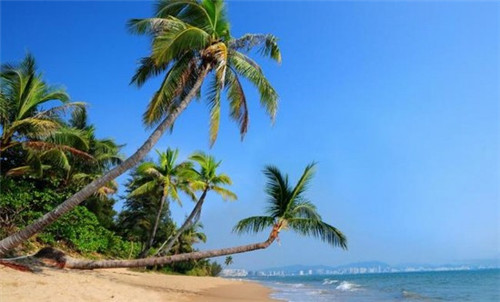 生活服务加盟创业选择哪些品牌受欢迎，生活服务加盟创业选择哪些品牌受欢迎呢