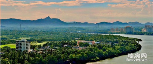 炒油豆腐鸡肉怎么炒（油豆腐烧鸡肉）