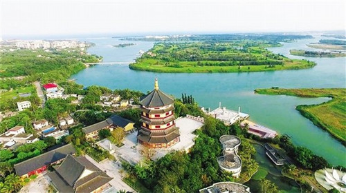 清晨在森林中漫步是什么歌（清晨森林里什么句子）