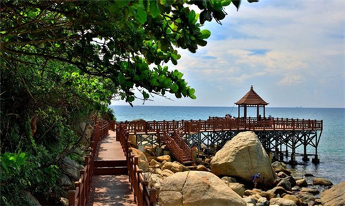 台州炒花草怎么炒好吃呢（炒花草的做法）