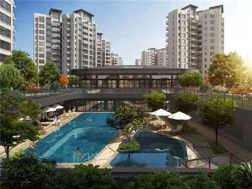 有莎拉布里格斯的小说（莎布尼古拉斯的小说）